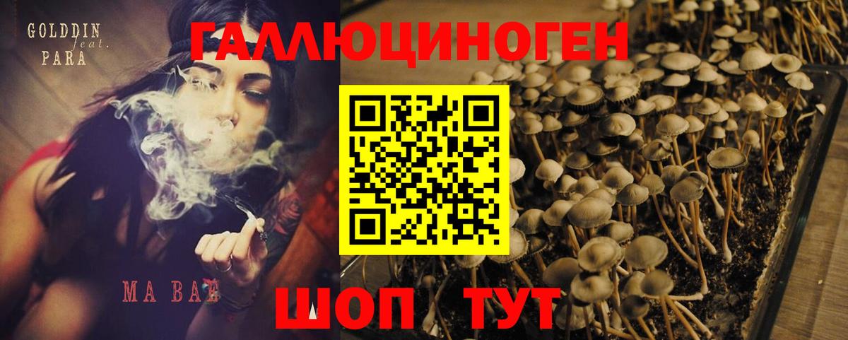 Псилоцибиновые грибы GOLDEN TEACHER  Вход с VPN  где продают   Пенза 