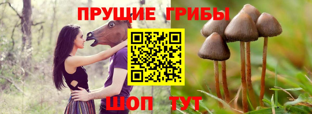 Галлюциногенные грибы MAGIC MUSHROOMS Пенза